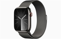 Watch Series 9 45 мм корпусс из нержавеющей стали Графитовый MRQN3 миланский браслет цвет Графитовый 45303 - фото 110642