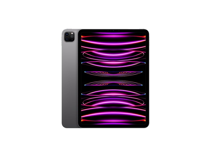 iPad Pro 11 M2 256GB Wi-Fi Space gray (Серый космос) MNXF3LL - фото 13184