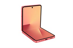 Galaxy Z Flip 7 12 ГБ / 256 ГБ Coralred (Кораллово-красный) SM-F766B* SM-F766BZRG