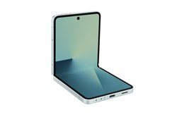 Galaxy Z Flip 7 12GB / 512GB Mint (Мятный)  SM-F766B* SM-F766BLGH - фото 27734