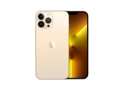 iPhone 13 Pro Max 256GB Gold (Золотой) MLMG3RU 31052 - фото 65356