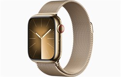 Watch Series 9 41 мм корпусс из нержавеющей стали Золотой MRQ23 миланский браслет цвет Золотой 39553 - фото 92232