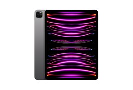 iPad Pro 12 M1 2 ТБ LTE Space gray (Серый космос) MHRD3RU