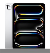 iPad Pro 11 M5, 2 ТБ, LTE, Silver (Серебристый) Стандартное стекло ME6A4