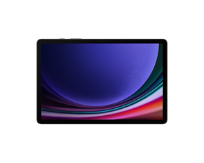 Galaxy Tab S9, 11" дюймов, 256 ГБ, 5G, Графитовый (Graphite), SM-X716BZAE SM-X716BZAE