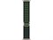 Watch Ultra 2 49 мм Натуральный Титан корпус c Dark Green Alpine Loop ремешком - M (145-190 мм) MYT33-MXMV3