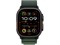 Watch Ultra 2 49 мм Чёрный Титан корпус c Dark Green Alpine Loop ремешком - L (165-210 мм) MYTF3-MYPT3-MX4T3