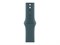 Watch Series 10 46 мм Silver (Серебристый) Алюминиевый корпус с Lake Green Sport Band - M/L (160-210 мм) MWX03-MXLR3