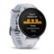 Forerunner 955 Solar sports watch Gray 010-02638-21 010-02638-21