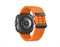 Galaxy Watch Ultra (2025) 47mm / Bluetooth + 4G Titanium Gray (Серый титан) Marine Band Orange S/M/L SM-L705F* SM-L705FZA2