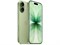 iPhone 17 256 ГБ Sage (Зелёный Шалфей) Dual eSim MG4A4LL
